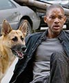 I Am Legend